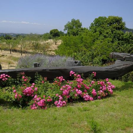 טרקסטאני Cirasa Luxury Country House מראה חיצוני תמונה