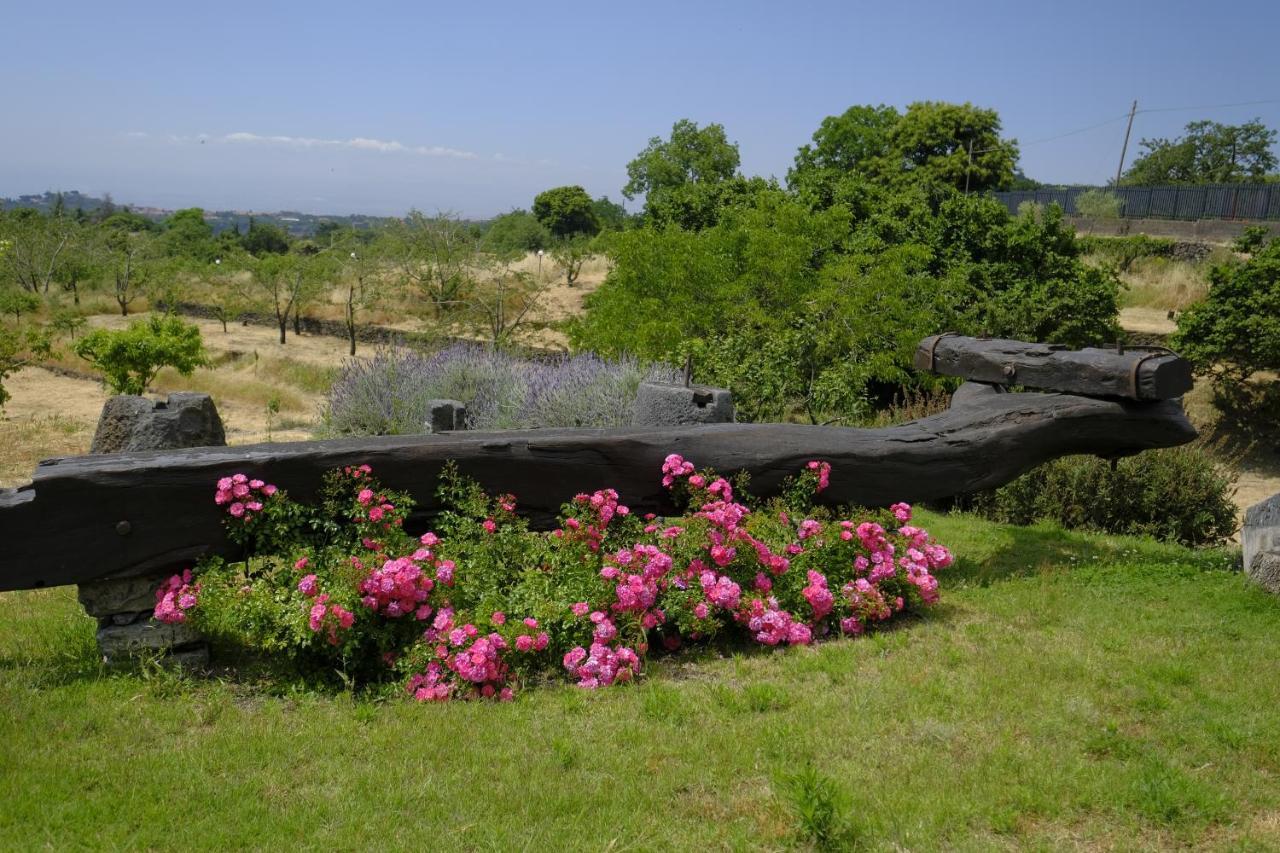 טרקסטאני Cirasa Luxury Country House מראה חיצוני תמונה